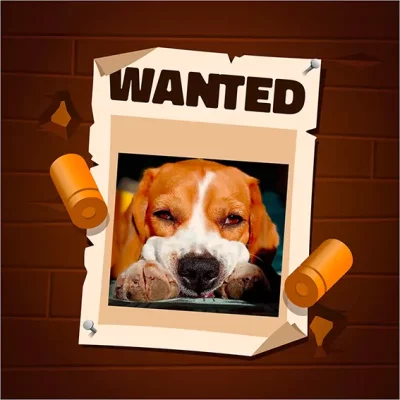 Hawaï chien de Sandra